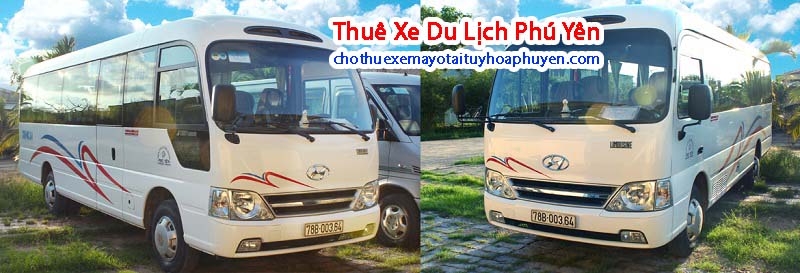 Chúng tôi đang đáp ứng nhu cầu thuê xe du lịch tại phú yên với các dòng xe như: Toyota Vios, Toyota Innova, Ford Transit