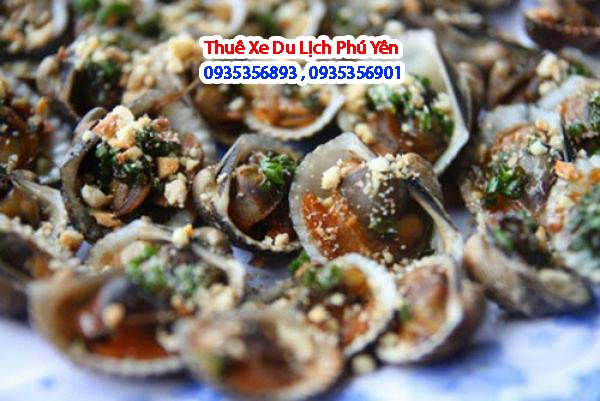 dịch vụ thuê xe du lịch tại phú yên đi tuy an