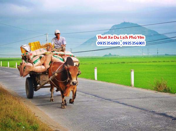 Thuê xe du lịch ở Phú Yên đi núi nhạn